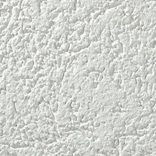 Acrylic Wall Finish - Coarse